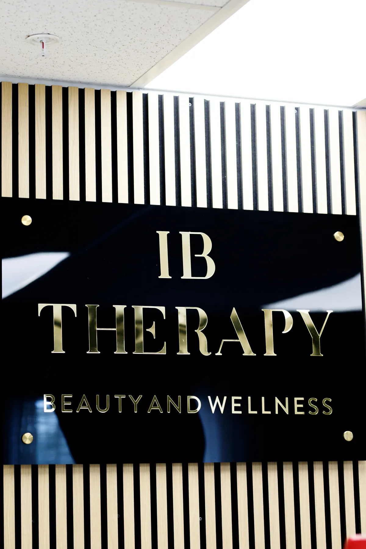IB Therapy clinic sign in Naperville